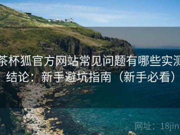 茶杯狐官方网站常见问题有哪些实测结论：新手避坑指南（新手必看）