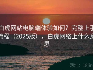 白虎网站电脑端体验如何？完整上手流程（2025版），白虎网络上什么意思