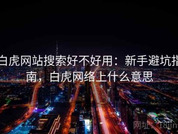 白虎网站搜索好不好用：新手避坑指南，白虎网络上什么意思