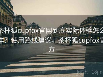 茶杯狐cupfox官网到底实际体验怎么样？使用路线建议，茶杯狐cupfox官方