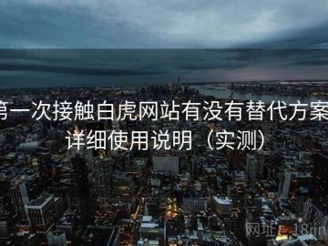 第一次接触白虎网站有没有替代方案？详细使用说明（实测）
