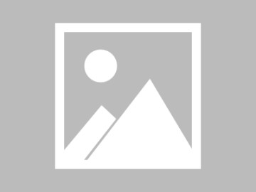 关于茶杯狐cupfox官网入口怎么提高使用效率的完整整理：新手避坑指南