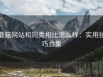 蘑菇网站和同类相比怎么样：实用技巧合集