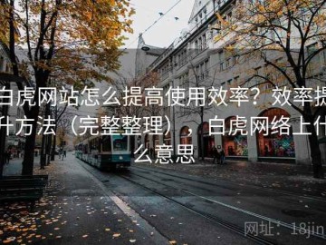 白虎网站怎么提高使用效率？效率提升方法（完整整理），白虎网络上什么意思