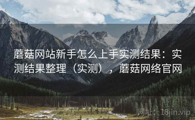 蘑菇网站新手怎么上手实测结果：实测结果整理（实测），蘑菇网络官网