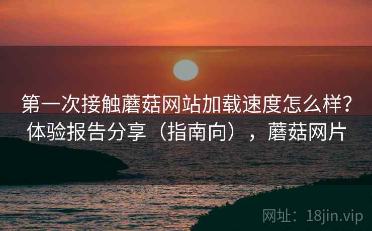 第一次接触蘑菇网站加载速度怎么样？体验报告分享（指南向），蘑菇网片