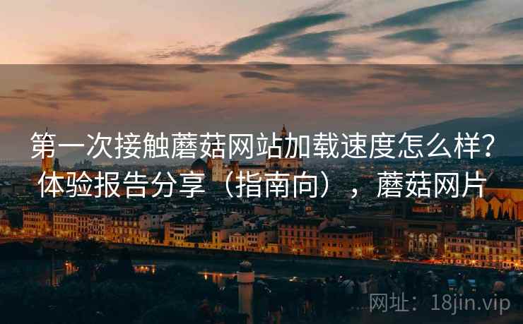 第一次接触蘑菇网站加载速度怎么样？体验报告分享（指南向），蘑菇网片