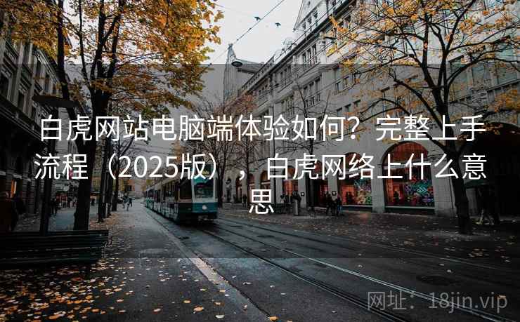 白虎网站电脑端体验如何？完整上手流程（2025版），白虎网络上什么意思