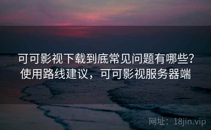可可影视下载到底常见问题有哪些？使用路线建议，可可影视服务器端