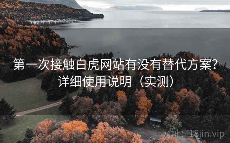 第一次接触白虎网站有没有替代方案？详细使用说明（实测）